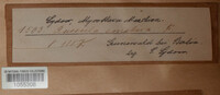 Image Associated With the Occurence